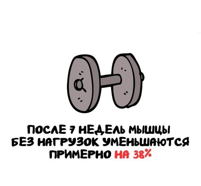 Интересные факты на все случаи жизни Интересные факты на все случаи жизни