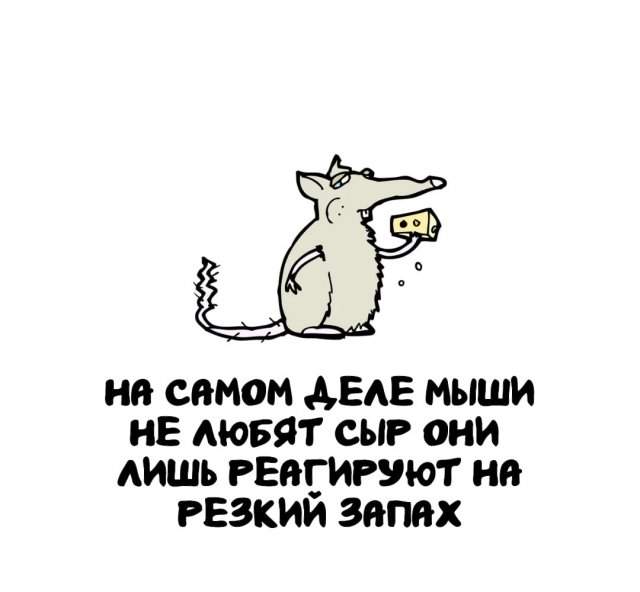 Интересные факты на все случаи жизни Интересные факты на все случаи жизни