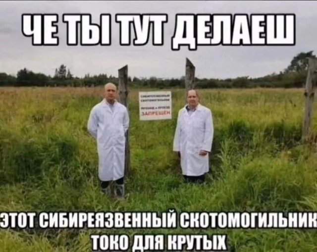 Смешные мемы - 23.07.2025 Смешные мемы - 23.07.2025