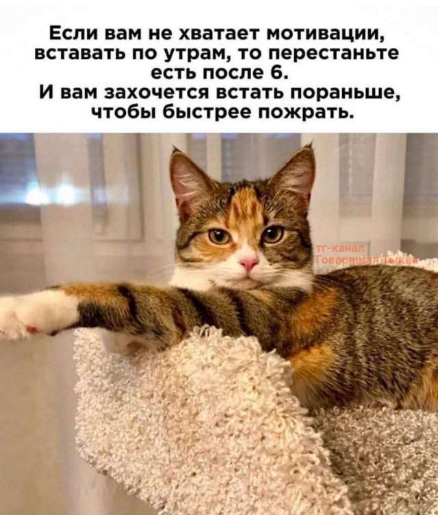 Смешные мемы - 23.07.2025 Смешные мемы - 23.07.2025