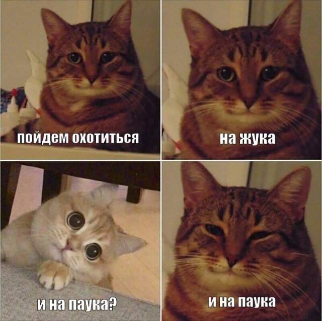 Смешные мемы - 23.07.2025 Смешные мемы - 23.07.2025