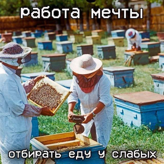 Смешные мемы - 23.07.2025 Смешные мемы - 23.07.2025