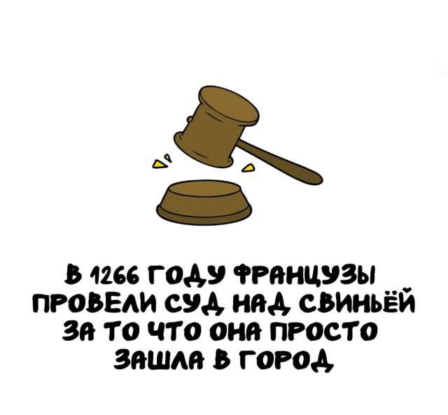 Интересные факты на все случаи жизни
