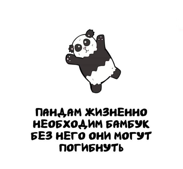 Интересные факты на все случаи жизни