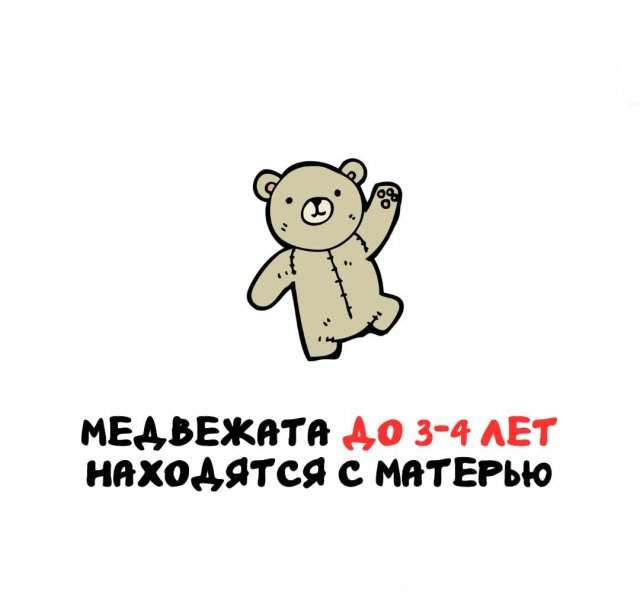 Интересные факты на все случаи жизни