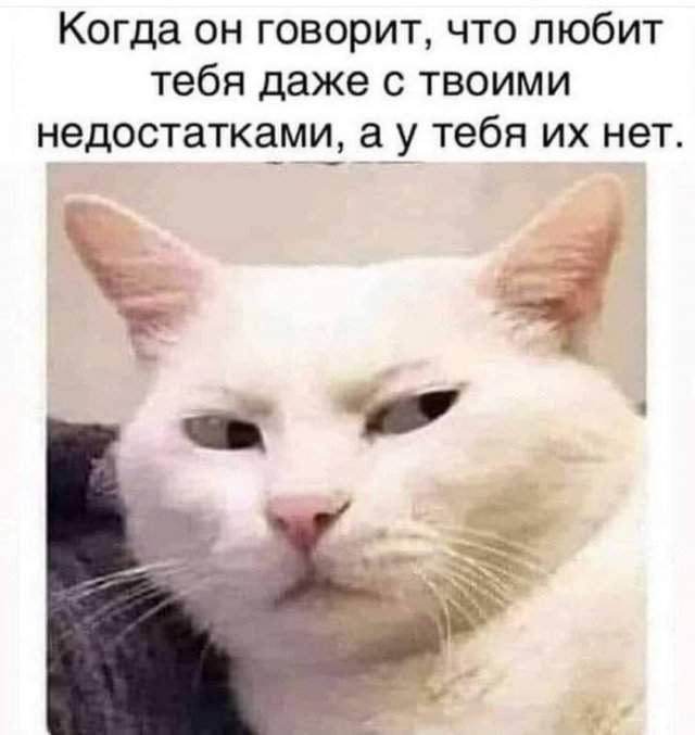 Лучшие шутки и мемы из Сети - 23.07.2025 Лучшие шутки и мемы из Сети - 23.07.2025