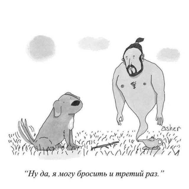 Лучшие шутки и мемы из Сети - 23.07.2025 Лучшие шутки и мемы из Сети - 23.07.2025