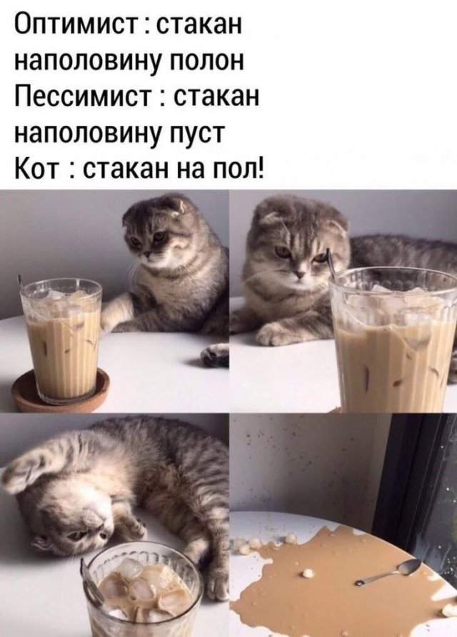Лучшие шутки и мемы из Сети - 23.07.2025 Лучшие шутки и мемы из Сети - 23.07.2025
