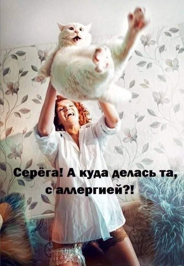Лучшие шутки и мемы из Сети - 23.07.2025 Лучшие шутки и мемы из Сети - 23.07.2025