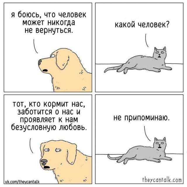 Лучшие шутки и мемы из Сети - 23.07.2025 Лучшие шутки и мемы из Сети - 23.07.2025