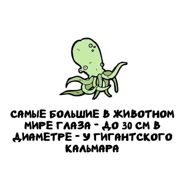 Интересные факты на все случаи жизни Интересные факты на все случаи жизни