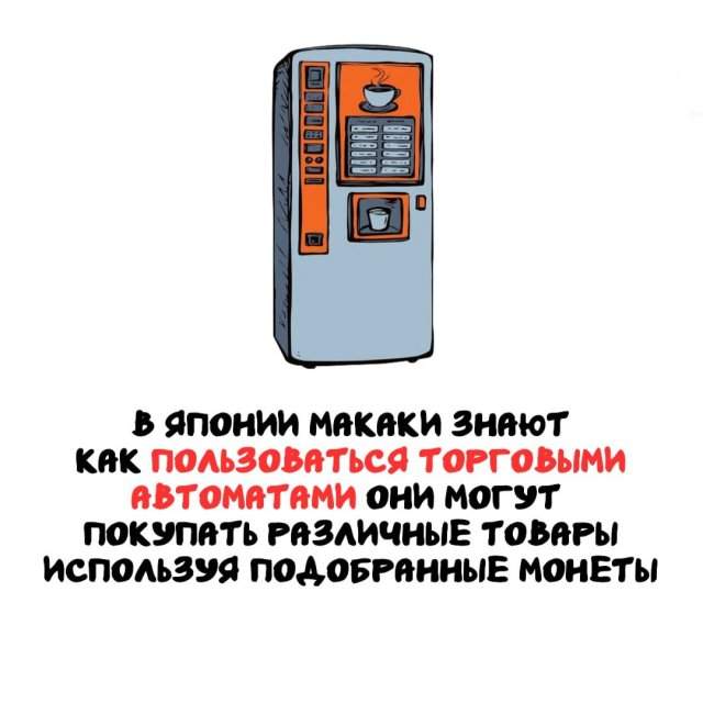 Интересные факты на все случаи жизни Интересные факты на все случаи жизни