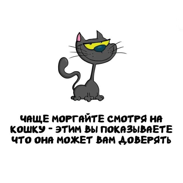 Интересные факты на все случаи жизни Интересные факты на все случаи жизни