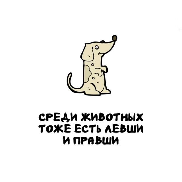 Интересные факты на все случаи жизни Интересные факты на все случаи жизни