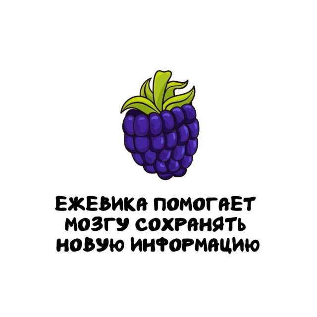 Интересные факты на все случаи жизни Интересные факты на все случаи жизни