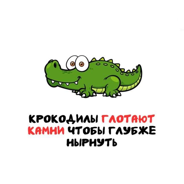 Интересные факты на все случаи жизни Интересные факты на все случаи жизни