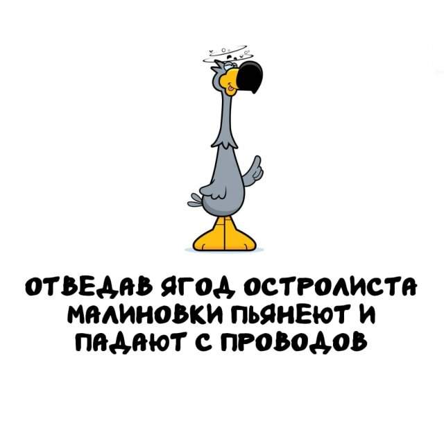 Интересные факты на все случаи жизни Интересные факты на все случаи жизни