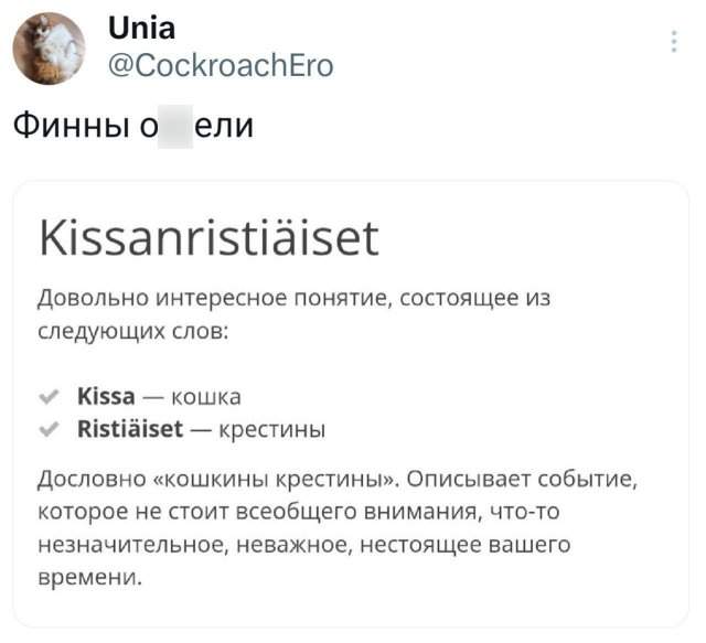 Подборка забавных твитов обо всем