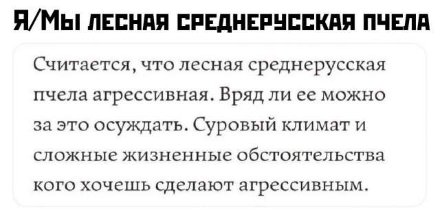 Подборка картинок. Вечерний выпуск - 24.07.2025
