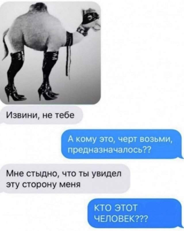 Лучшие шутки и мемы из Сети - 24.07.2025 Лучшие шутки и мемы из Сети - 24.07.2025