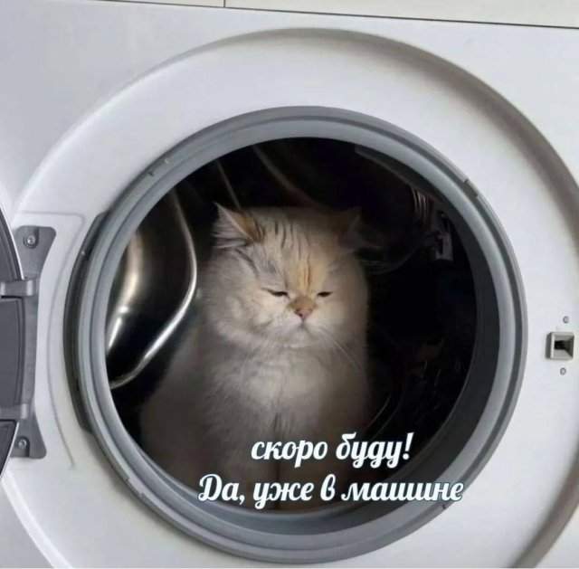 Лучшие шутки и мемы из Сети - 24.07.2025 Лучшие шутки и мемы из Сети - 24.07.2025