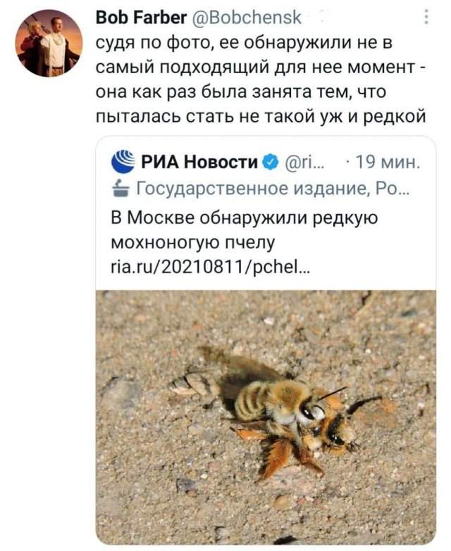 Лучшие шутки и мемы из Сети - 24.07.2025 Лучшие шутки и мемы из Сети - 24.07.2025