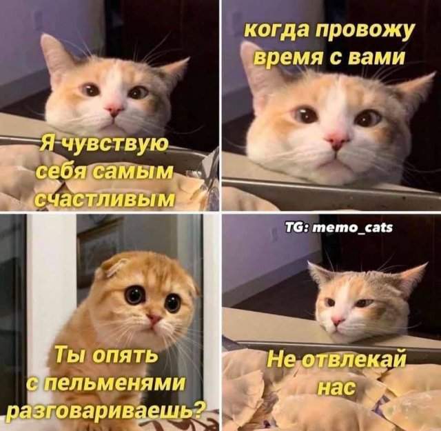 Лучшие шутки и мемы из Сети - 24.07.2025 Лучшие шутки и мемы из Сети - 24.07.2025