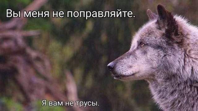 Смешные мемы - 25.07.2025 Смешные мемы - 25.07.2025