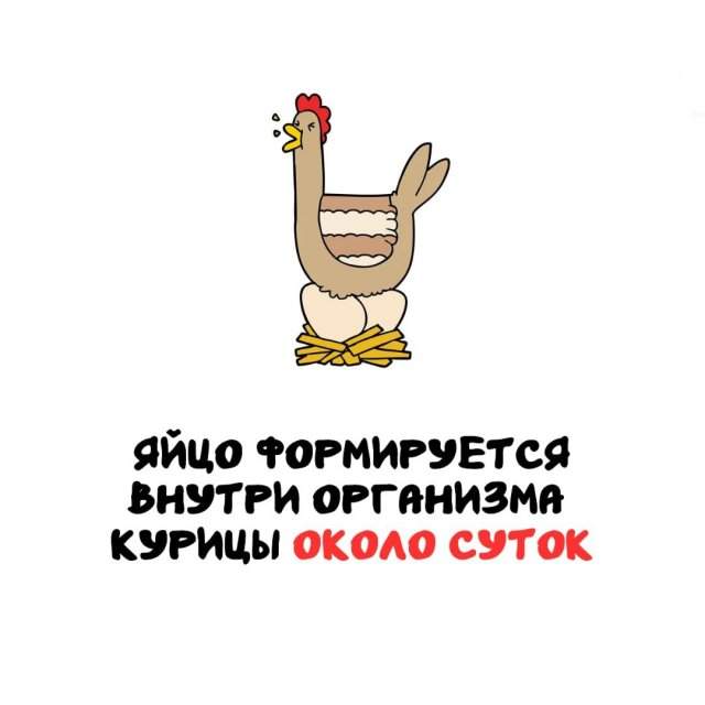 Интересные факты на все случаи жизни