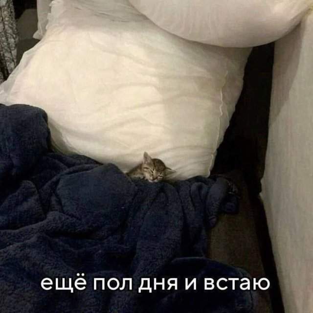 Смешные мемы - 28.07.2025 Смешные мемы - 28.07.2025