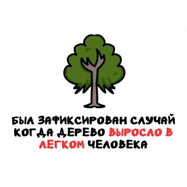Интересные факты на все случаи жизни