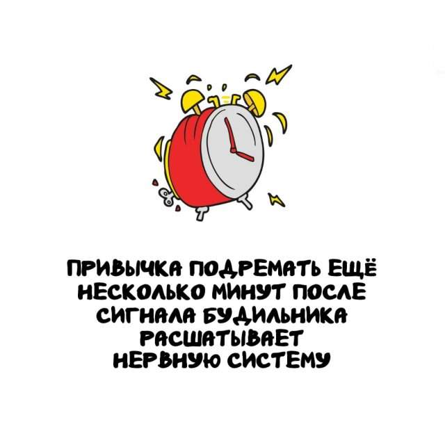 Интересные факты на все случаи жизни