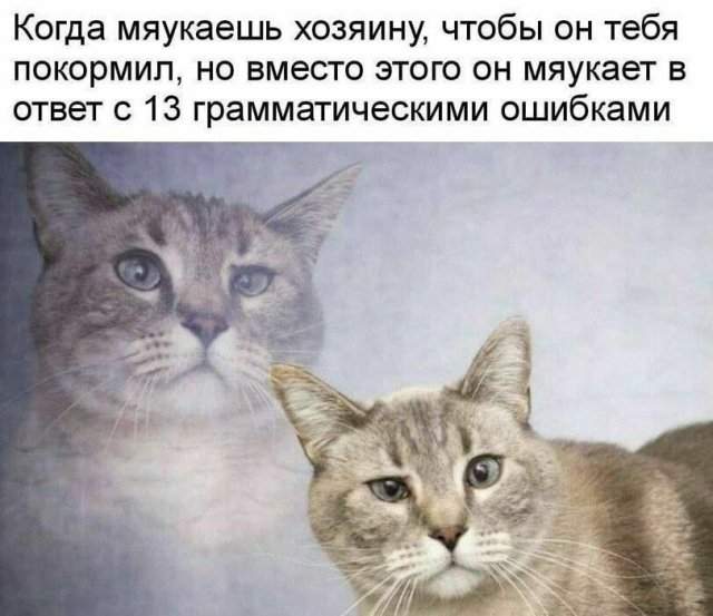 Лучшие шутки и мемы из Сети - 28.07.2025