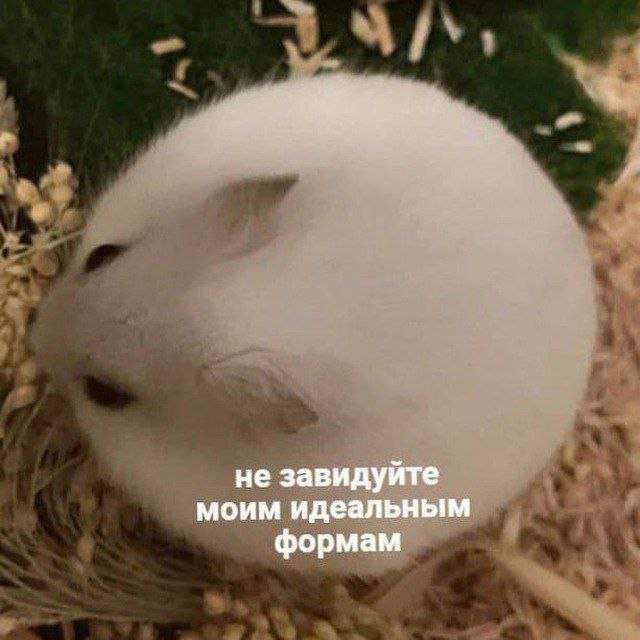 Смешные мемы - 29.07.2025