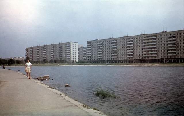 На берегу Большого Ангарского пруда в Дмитровском районе.