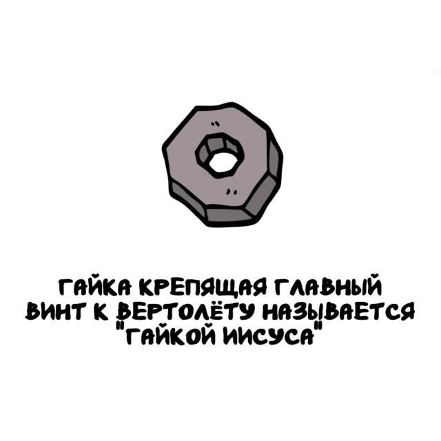 Интересные факты на все случаи жизни Интересные факты на все случаи жизни