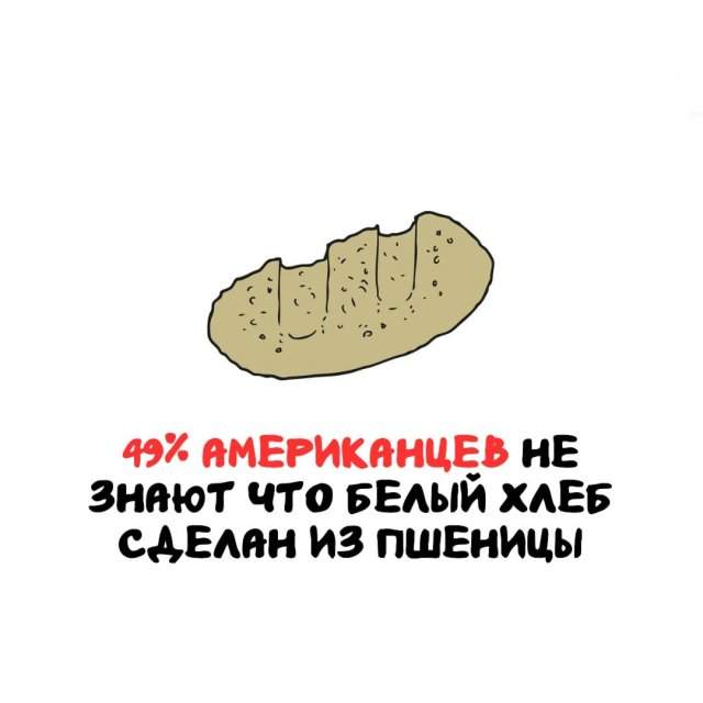 Интересные факты на все случаи жизни Интересные факты на все случаи жизни