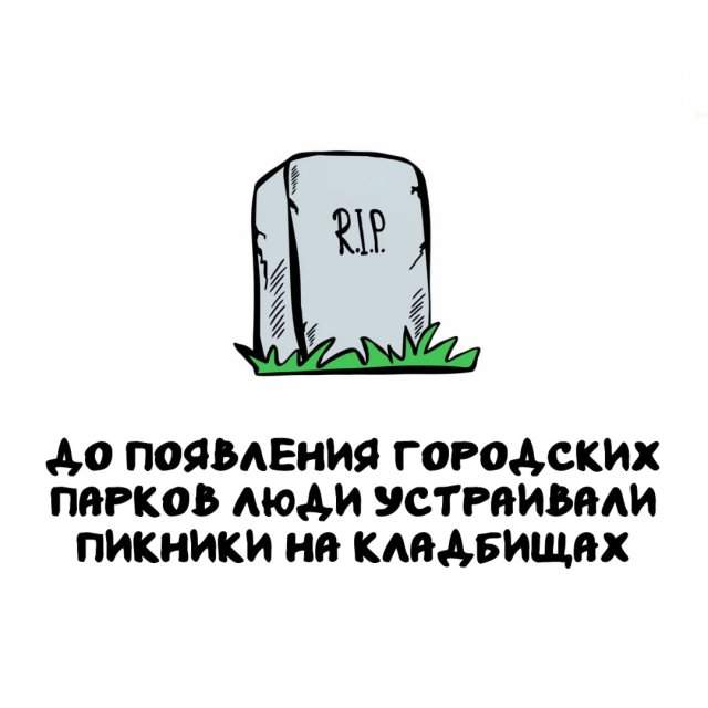 Интересные факты на все случаи жизни Интересные факты на все случаи жизни
