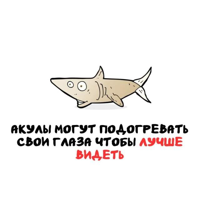 Интересные факты на все случаи жизни Интересные факты на все случаи жизни