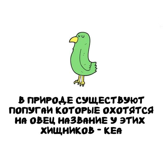 Интересные факты на все случаи жизни Интересные факты на все случаи жизни