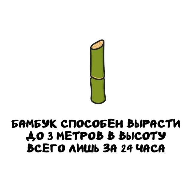 Интересные факты на все случаи жизни Интересные факты на все случаи жизни
