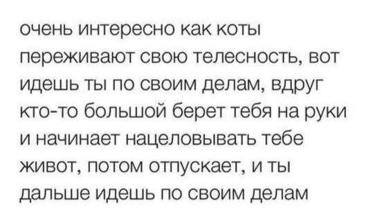 Лучшие шутки и мемы из Сети - 29.07.2025 Лучшие шутки и мемы из Сети - 29.07.2025