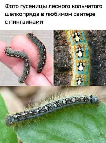 Лучшие шутки и мемы из Сети - 29.07.2025 Лучшие шутки и мемы из Сети - 29.07.2025