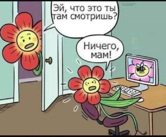 Лучшие шутки и мемы из Сети - 29.07.2025 Лучшие шутки и мемы из Сети - 29.07.2025