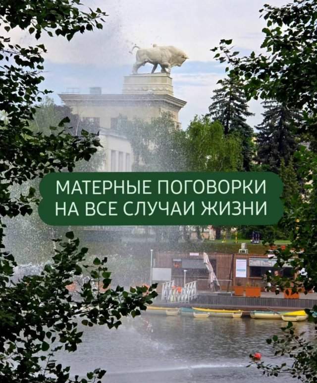 Матерные поговорки на все случаи жизни