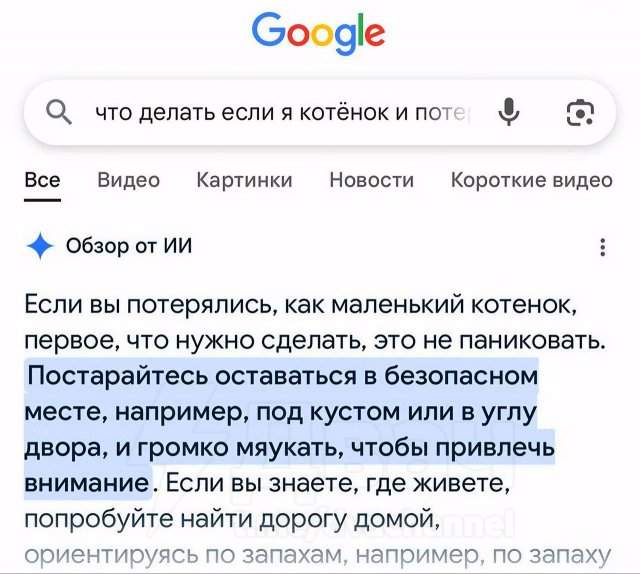 &quot;Что делать, если я котенок и потерялся?&quot;: развернутый ответ нейросети