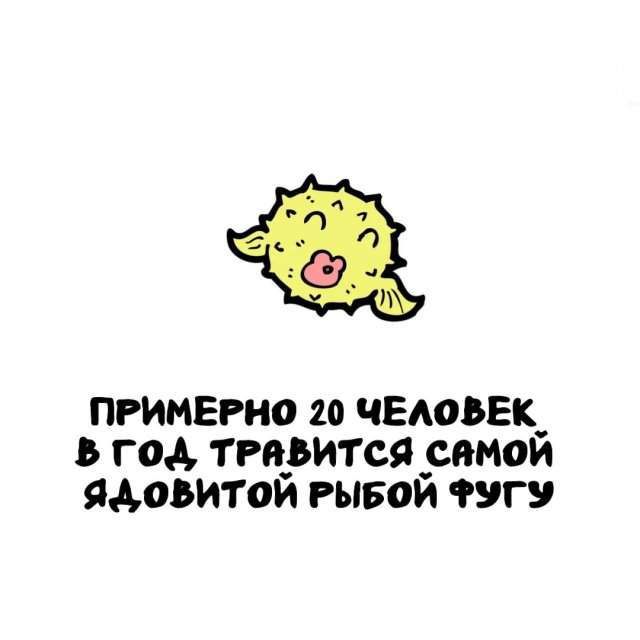 Интересные факты на все случаи жизни Интересные факты на все случаи жизни