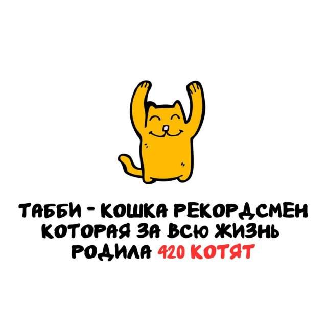 Интересные факты на все случаи жизни Интересные факты на все случаи жизни