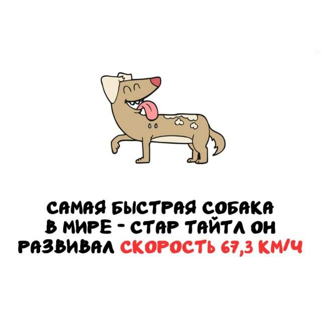 Интересные факты на все случаи жизни Интересные факты на все случаи жизни