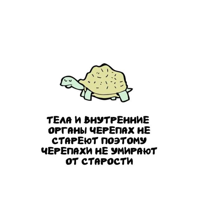 Интересные факты на все случаи жизни Интересные факты на все случаи жизни